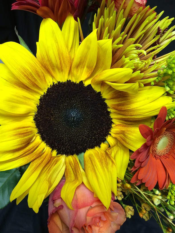 A Traditional Fall Centerpiece – Hulbert's Flowers